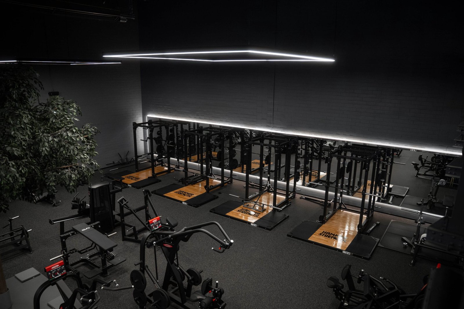 EVOLAND Deutschlands No.1 Gym Fitnessstudio Coworking Space Köln